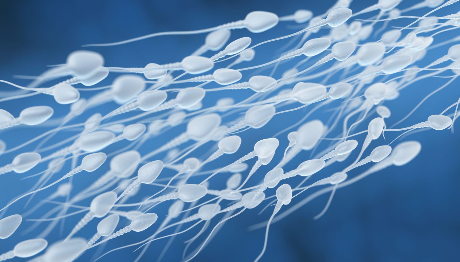 Sperm Freezing